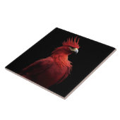 Carreau Scarlet Phoenix Est Fière (Côté)