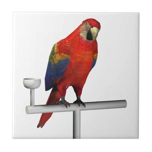 Carreau Scarlet rouge Macaw (Devant)