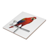 Carreau Scarlet rouge Macaw (Côté)