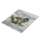 Carreau Sceau de bébé précieux (Côté)