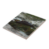 Carreau Sceau du port de Sunset Lit II à San Diego (Côté)