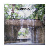 Carreau Scène de jardin tropical avec cascade de Floride (Devant)