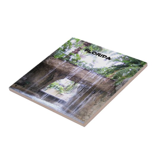 Carreau Scène de jardin tropical avec cascade de Floride (Côté)