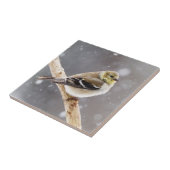 Carreau Scène de neige d'oiseau d'hiver - chardonneret (Côté)