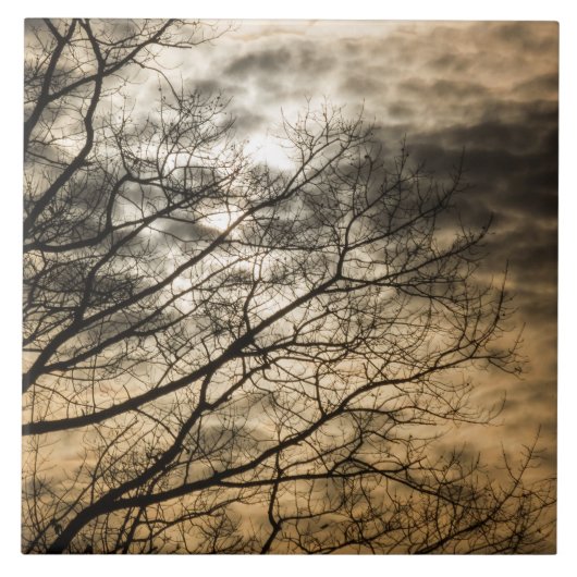 Carreau Scène de soleil nuageux (Devant)