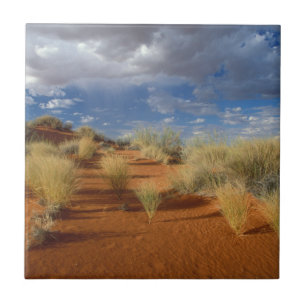 Carreau Scène du désert du Kalahari, Kgalagadi Transfronti