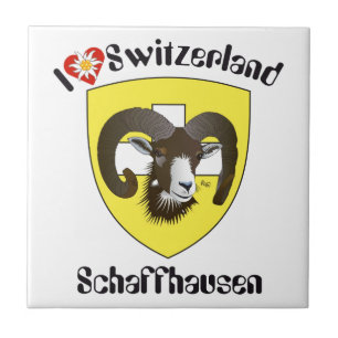 Carreau Schaffhouse Suisse