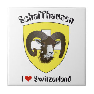 Carreau Schaffhouse Suisse