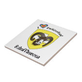 Carreau Schaffhouse Suisse (Côté)