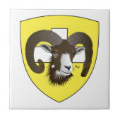 Carreau Schaffhouse Suisse (Devant)