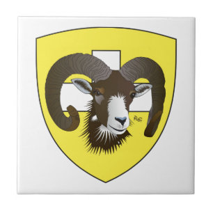 Carreau Schaffhouse Suisse