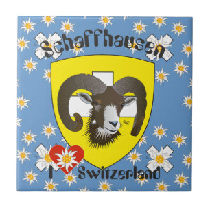 Carreau Schaffhouse - Suisse - Suisse - Svizzera Fliese
