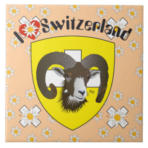 Carreau Schaffhouse - Suisse - Suisse - Svizzera Fliese
