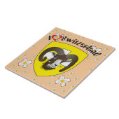 Carreau Schaffhouse - Suisse - Suisse - Svizzera Fliese (Côté)