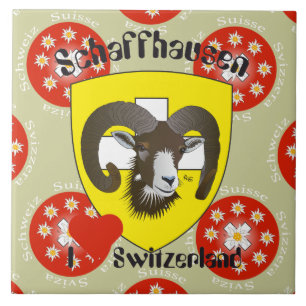 Carreau Schaffhouse - Suisse - Suisse - Svizzera Fliese