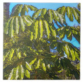 Carreau Schefflera Umbrellas Ceramic Tile (Devant)