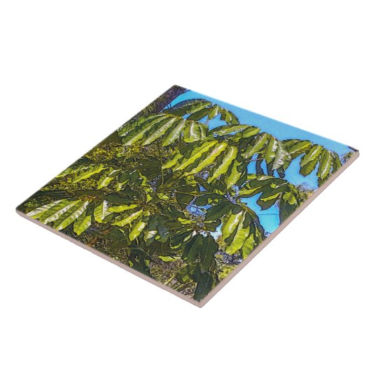 Carreau Schefflera Umbrellas Ceramic Tile (Côté)