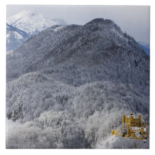 Carreau Schloss Hohenschwangau