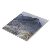 Carreau Schloss Hohenschwangau (Côté)