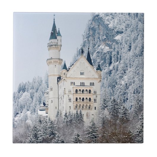 Carreau Schloss Neuschwanstein (Devant)