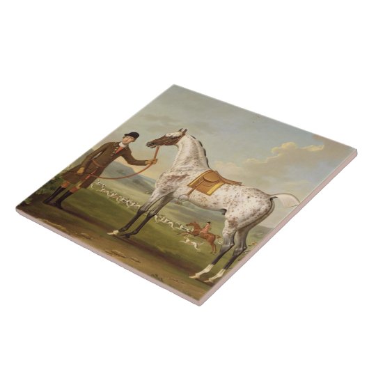 Carreau Scipio, Hunter de Spotted, c.1750 (oi de colonel (Côté)