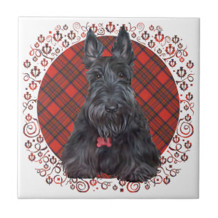 Carreau Scottish terrier on tartan