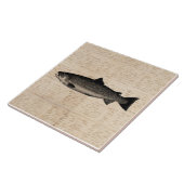 Carreau Scripts d'illustrations de poissons de truites d'a (Côté)