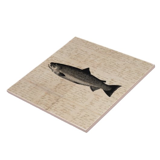 Carreau Scripts d'illustrations de poissons de truites d'a (Côté)