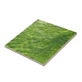 Carreau Sea Moss Green Nature Plage d'herbe Nautique (Côté)