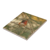 Carreau Séance Rufous de colibri (Côté)