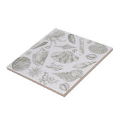 Carreau Seashell Soft Antique Art Beach Shops (Côté)