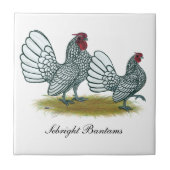 Carreau Sebright Bantams : Argentée (Devant)