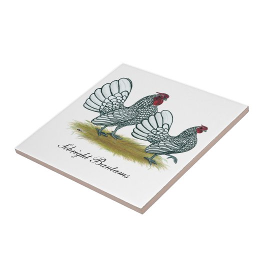 Carreau Sebright Bantams : Argentée (Côté)