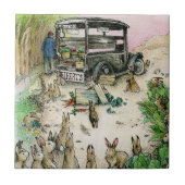 CARREAU SEIFERT (Devant)