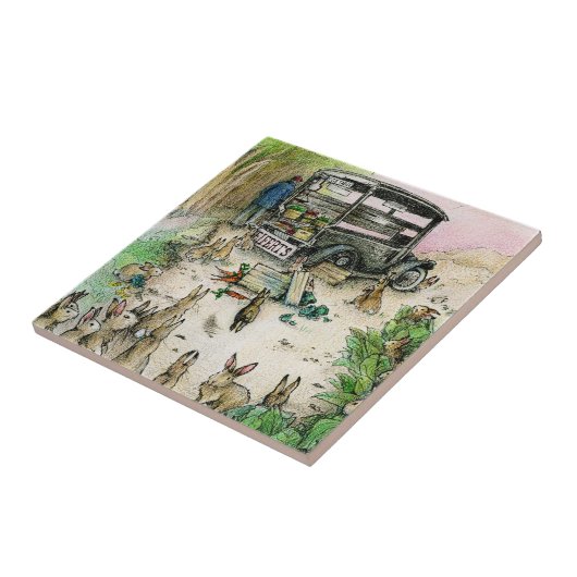 CARREAU SEIFERT (Côté)