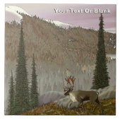 Carreau Selkirk Caribou (Devant)