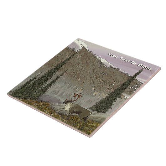 Carreau Selkirk Caribou (Côté)