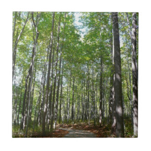 Carreau Sentier boisé du centenaire II Ellicott City Maryl