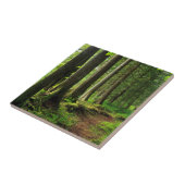 Carreau Sentier de la forêt verte Scénique (Côté)