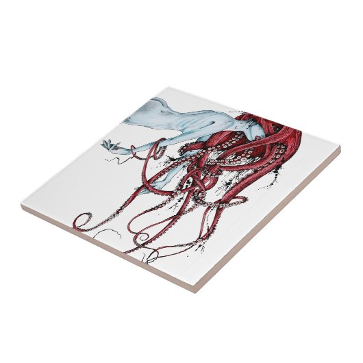 Carreau Septoid (Côté)