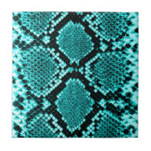 Carreau Serpent à sonnette à sonnette de diamant Aqua (Devant)