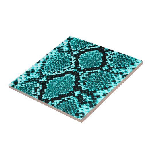 Carreau Serpent à sonnette à sonnette de diamant Aqua (Côté)