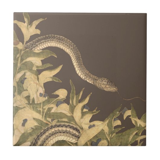 Carreau Serpent Brown vintage (Devant)