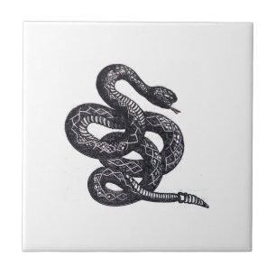 Carreau Serpent Crotalus Cascavella (Vipère à Piton Venime