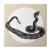 Carreau serpent de brume (Devant)