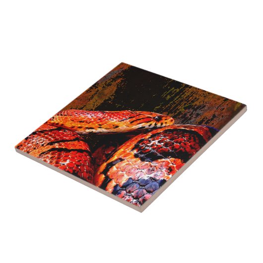 Carreau Serpent de maïs grunge lové (Côté)