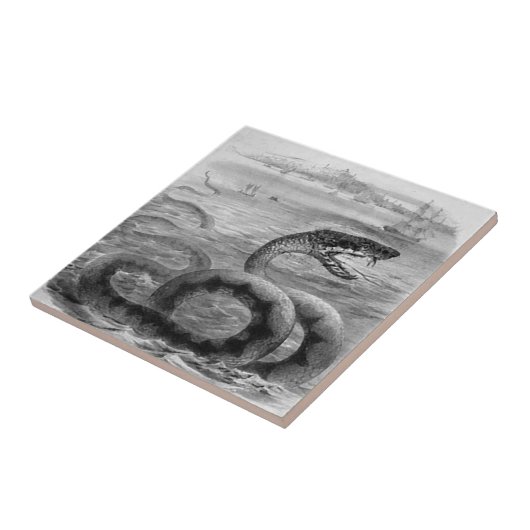 Carreau Serpent de mer/serpent (Côté)