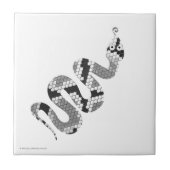 Carreau Serpent gris et silhouette gris clair (Devant)