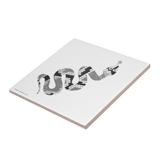 Carreau Serpent gris et silhouette gris clair (Côté)