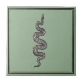 Carreau Serpent vert (Devant)